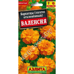 Бархатцы отклоненные "Валенсия" (0,3гр)