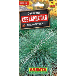 Овсяница "Серебристая" (5 шт)
