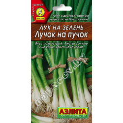 Лук на зелень "Лучок на Пучок" (0,5гр)