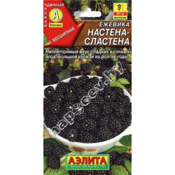 Ежевика "Настена-сластена" (15шт)
