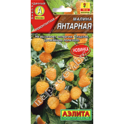 Малина "Янтарная" (20шт)